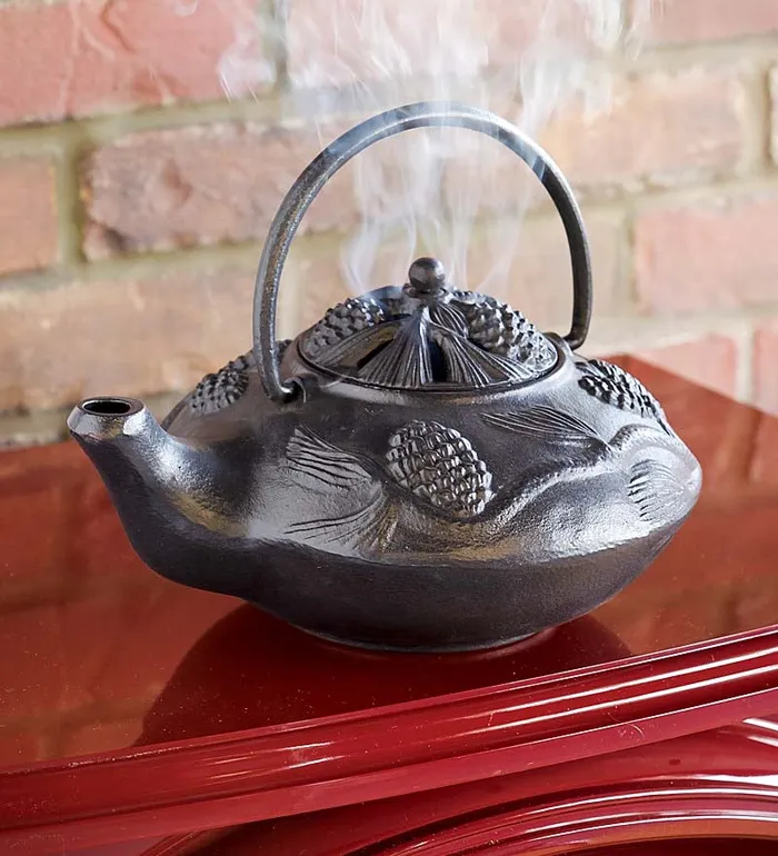 Fireplace and Hearth Cast Iron Wood Stove Kettle Steamer With Pine Cone Design 8211 Black Plow and Hearth Wood Stove Accessories Fireplace and Hearth Cast Iron Wood Stove Kettle Steamer With Pine Cone Design 8211 Black Plow and Hearth Wood Stove Accessories