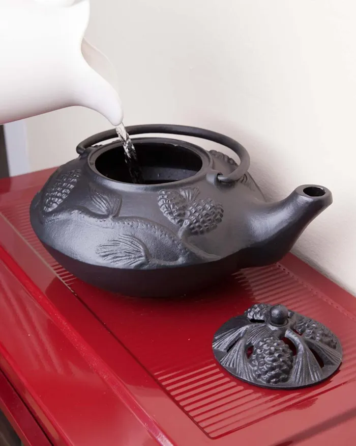 Fireplace and Hearth Cast Iron Wood Stove Kettle Steamer With Pine Cone Design 8211 Black Plow and Hearth Wood Stove Accessories