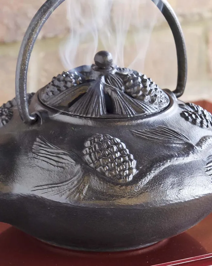 Fireplace and Hearth Cast Iron Wood Stove Kettle Steamer With Pine Cone Design 8211 Black Plow and Hearth Wood Stove Accessories