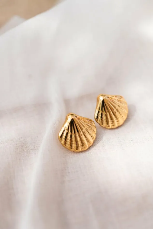 Jewelry and Accessories Earrings Easy Clothes Golden Shell Earrings Jewelry and Accessories Earrings Easy Clothes Golden Shell Earrings