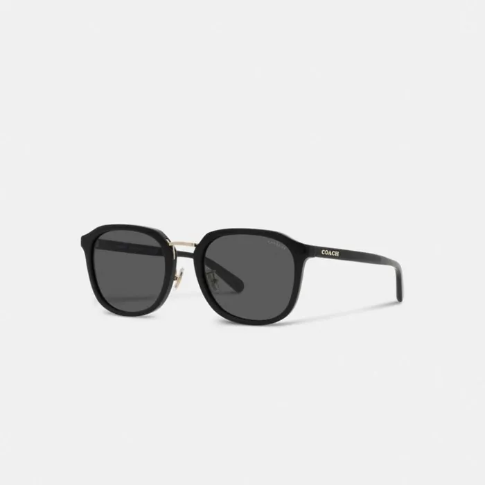 Men Rounded Geometric Sunglasses Black Coach Sunglasses