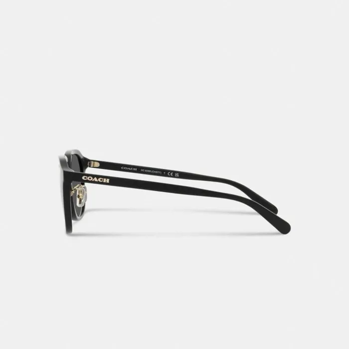 Men Rounded Geometric Sunglasses Black Coach Sunglasses