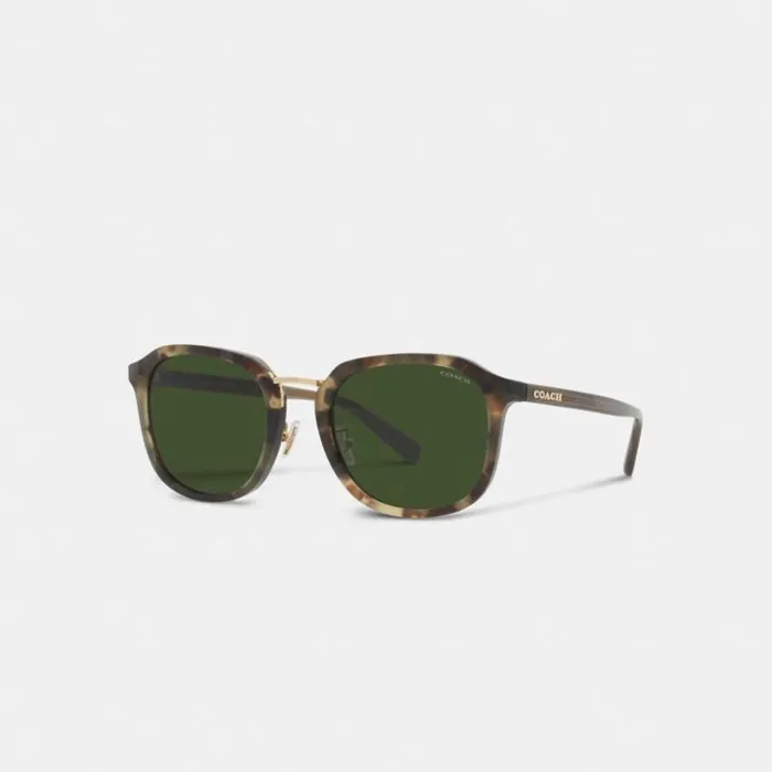 Men Rounded Geometric Sunglasses Green Tortoise Coach Sunglasses