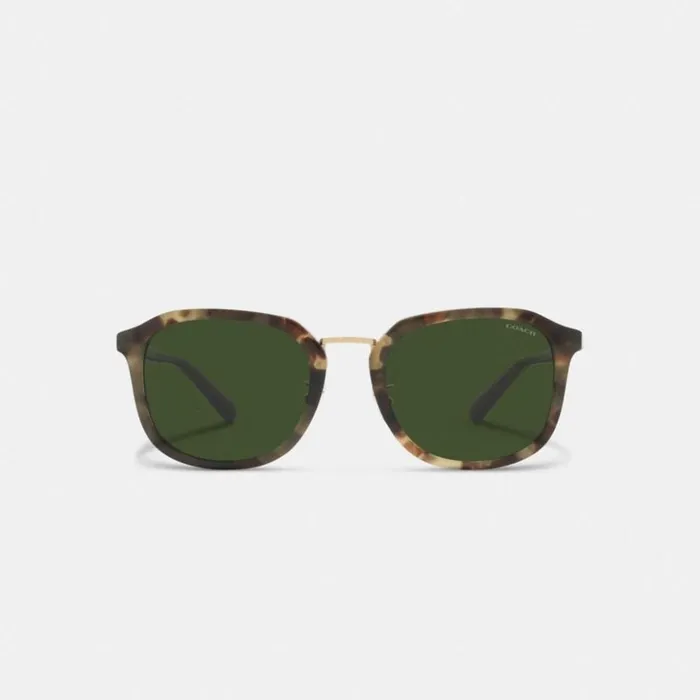 Men Rounded Geometric Sunglasses Green Tortoise Coach Sunglasses