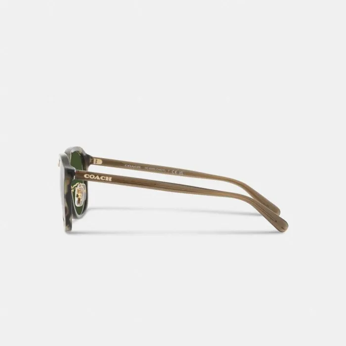 Men Rounded Geometric Sunglasses Green Tortoise Coach Sunglasses