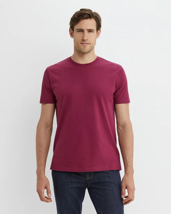 Men Sportscraft TShirts and Polos Supersoft Tee Mulberry