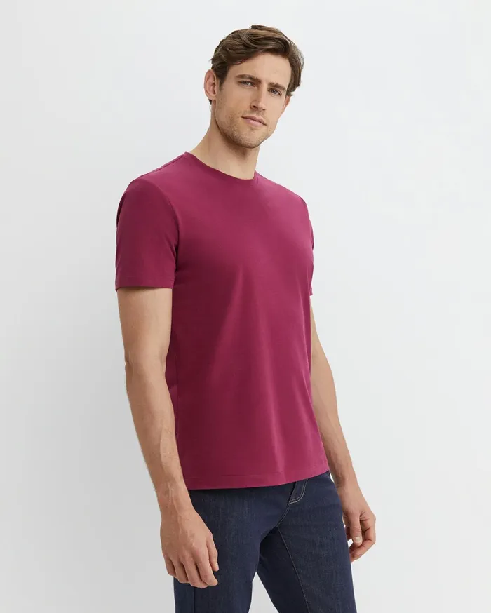 Men Sportscraft TShirts and Polos Supersoft Tee Mulberry
