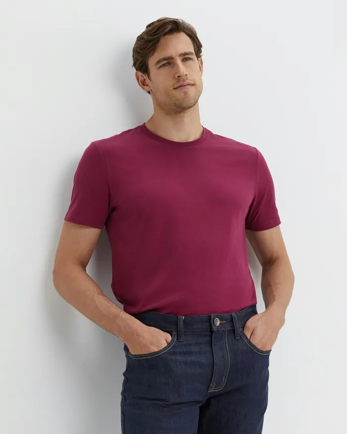 Men Sportscraft TShirts and Polos Supersoft Tee Mulberry