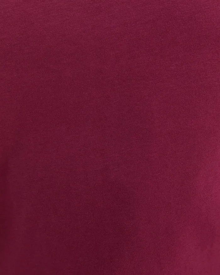 Men Sportscraft TShirts and Polos Supersoft Tee Mulberry