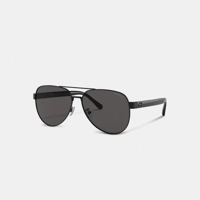 Men Wire Frame Pilot Sunglasses Matte Black Coach Sunglasses