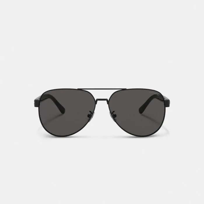 Men Wire Frame Pilot Sunglasses Matte Black Coach Sunglasses