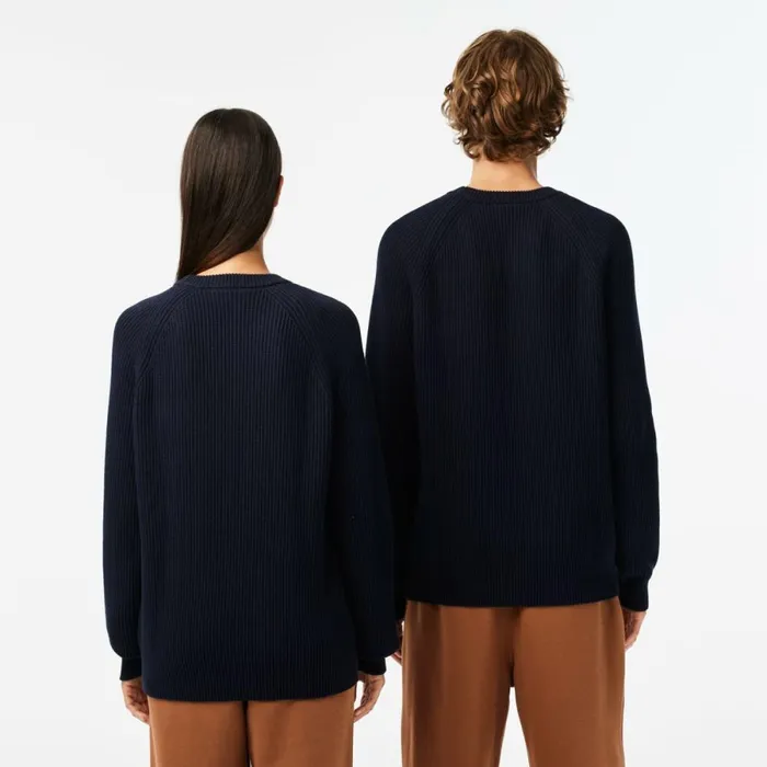 Sweaters and Sweatshirts MenWomen Lacoste Unisex Organic Cotton Crew Neck Sweater Navy Blue 166