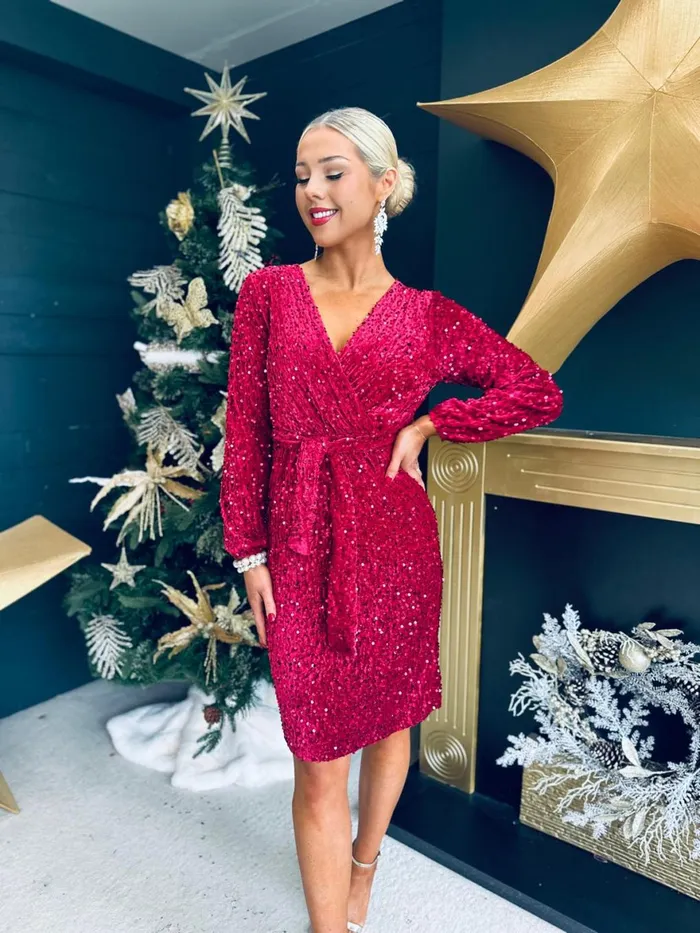 Women Day Dress Canella Lane Carly Velvet Sequin Mini Dress Burgundy