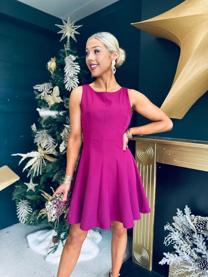 Women Day Dress Canella Lane Jules Detailed Mini Dress Berry
