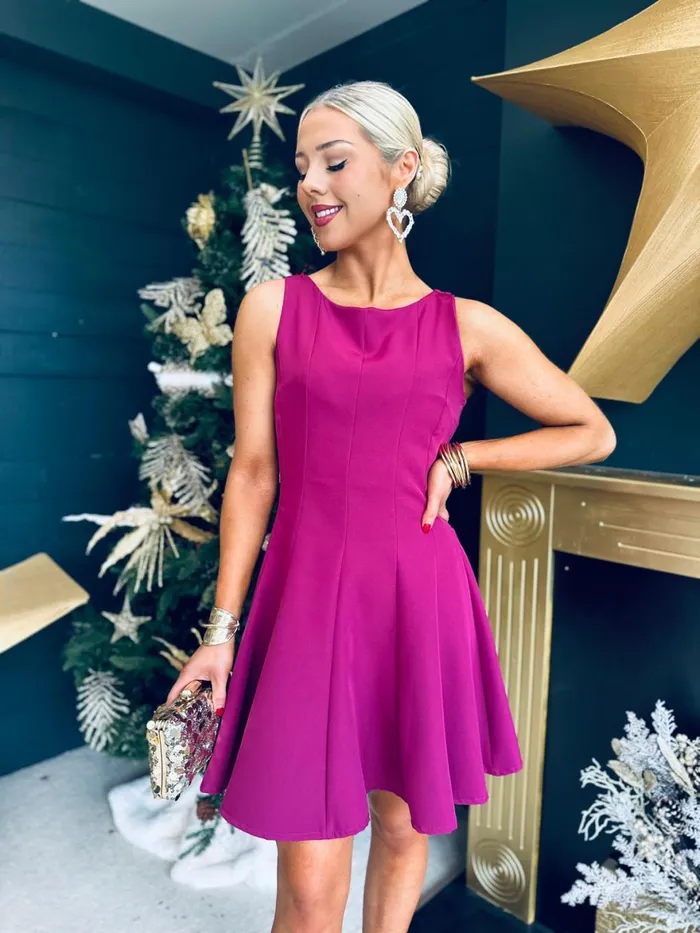 Women Day Dress Canella Lane Jules Detailed Mini Dress Berry