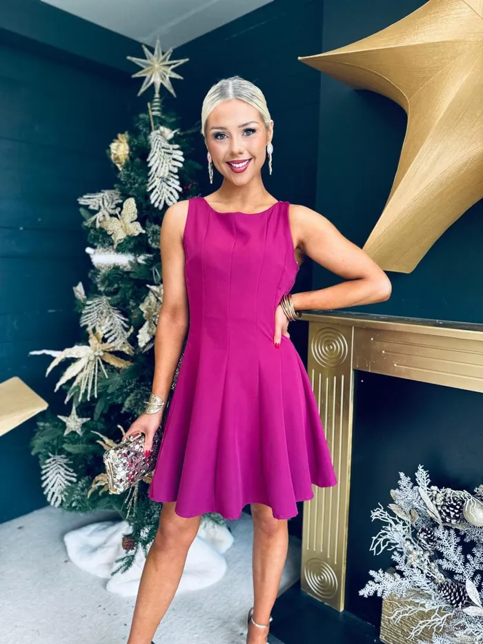 Women Day Dress Canella Lane Jules Detailed Mini Dress Berry
