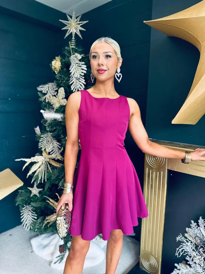 Women Day Dress Canella Lane Jules Detailed Mini Dress Berry