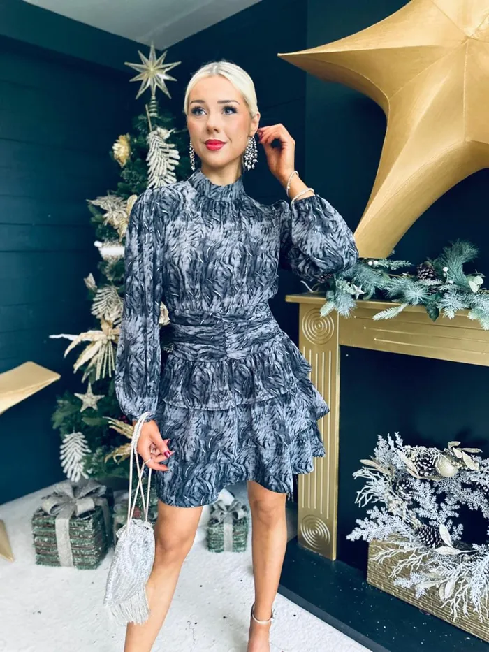 Women Day Dress Canella Lane Paula Banded Mini Dress Charcoal