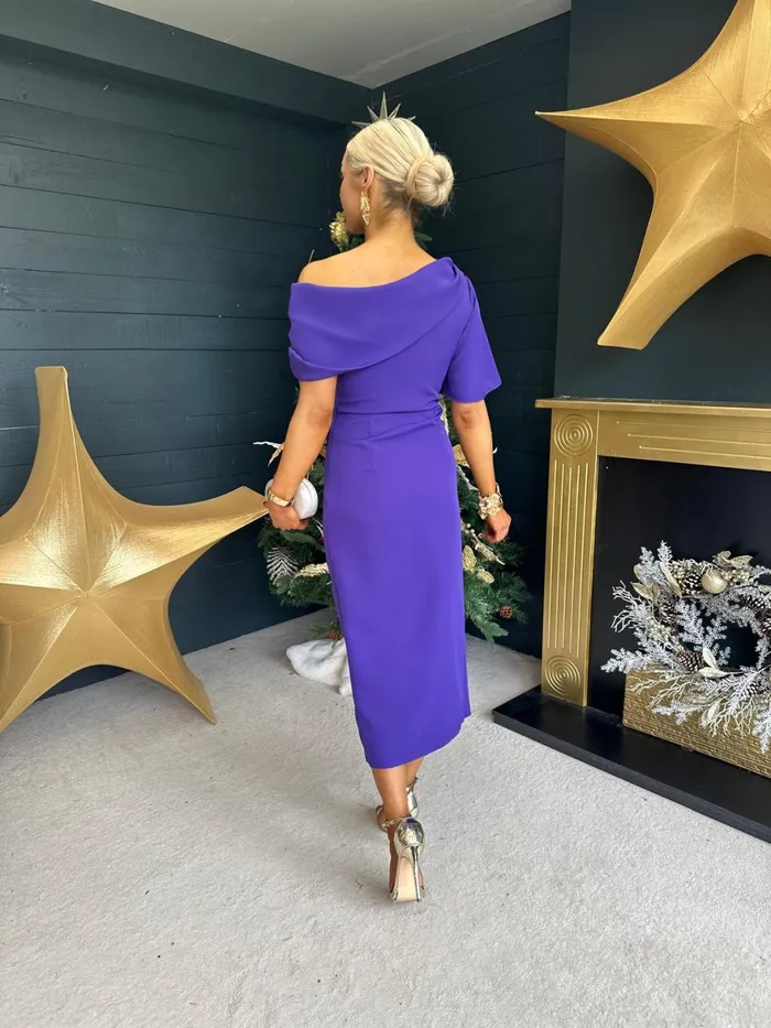 Women Evening Dress Canella Lane Hilary Detailed Occasion Dress Violet