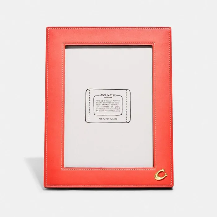 Women Picture Frame Brasstangerinelight Saddle Coach Tech and Travel