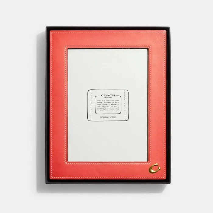 Women Picture Frame Brasstangerinelight Saddle Coach Tech and Travel