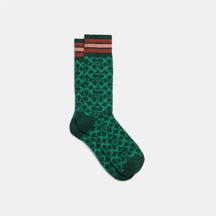 Women Signature Socks Dark Pine Coach Hats Scarves and Gloves
