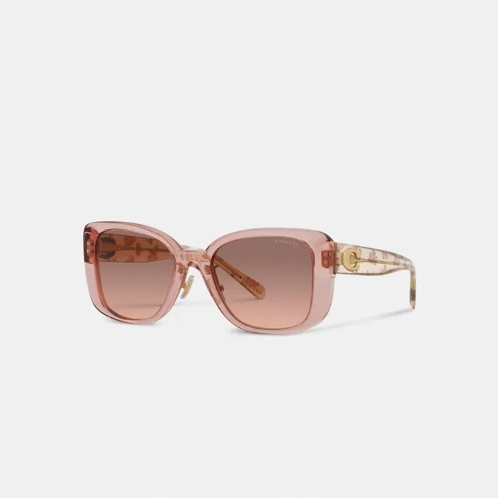 Women Tabby Oversized Square Sunglasses Transparent Pink Coach Eyewear