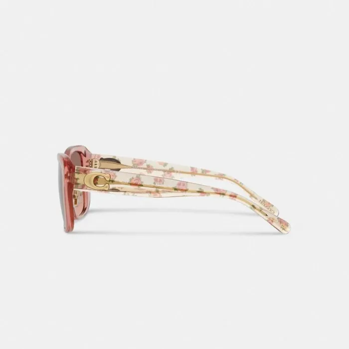 Women Tabby Oversized Square Sunglasses Transparent Pink Coach Eyewear