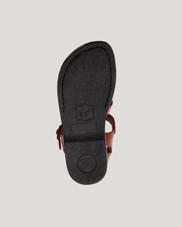 Women Women039s Caged Sandal Brown YMC Sandals