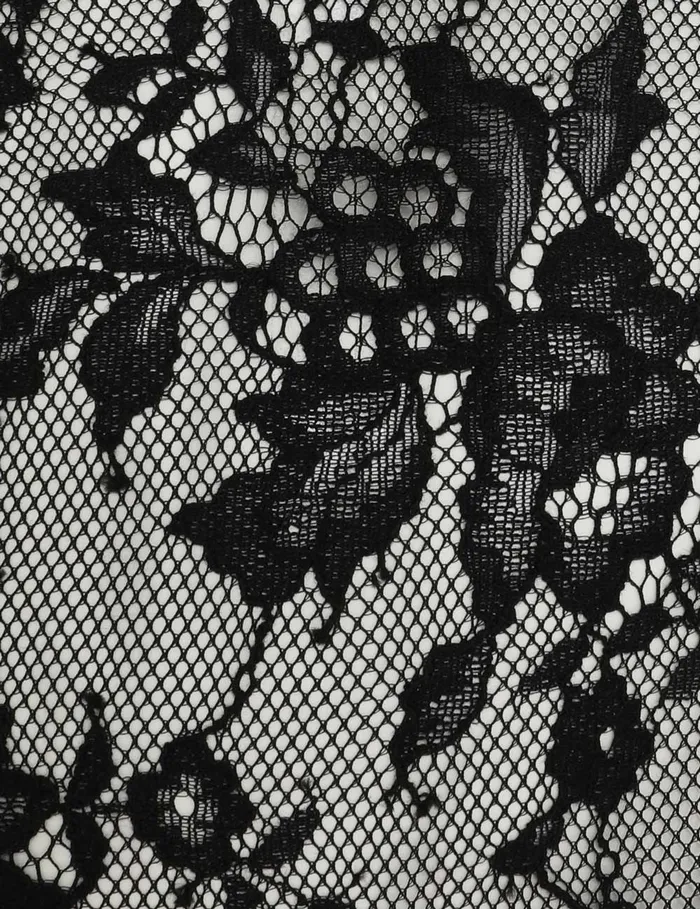 Women Zimmermann Clothing Illustration Lace Teddy Black