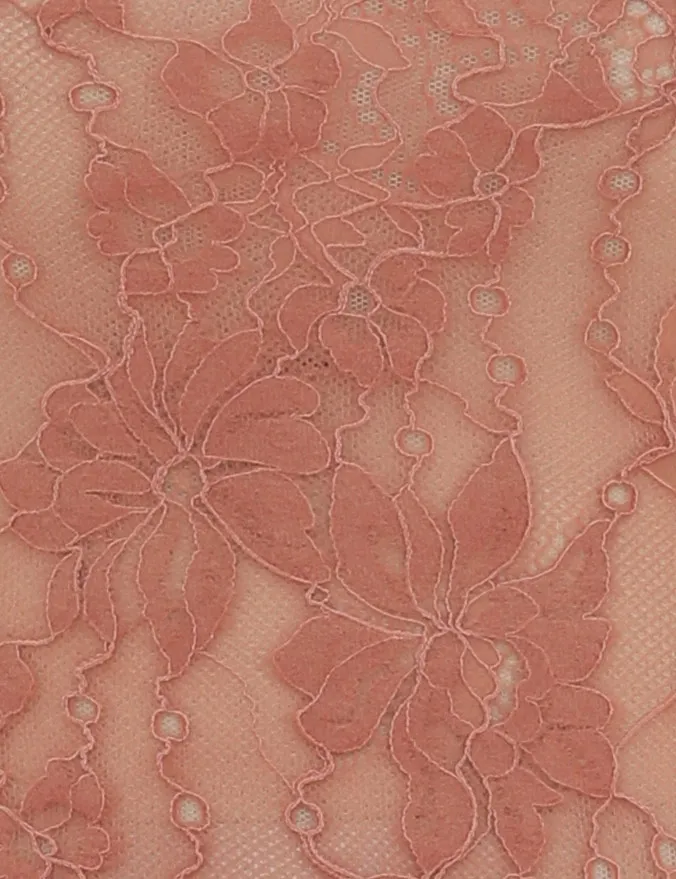 Women Zimmermann Clothing Scoop Neck Bodysuit Blush