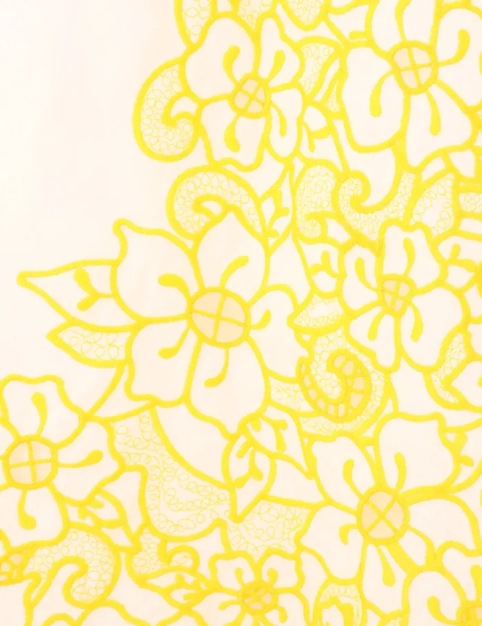 Women Zimmermann Dresses and Coverups Golden Embroidered Midi Dress Ivoryyellow