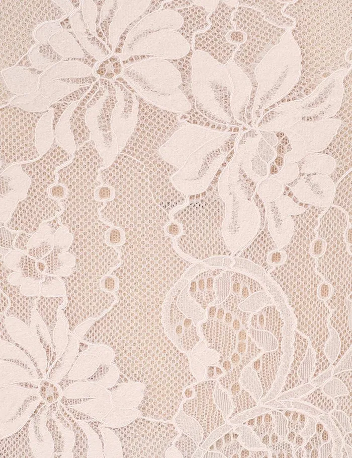 Women Zimmermann Tops Lace Scoop Bodysuit Pale Pink